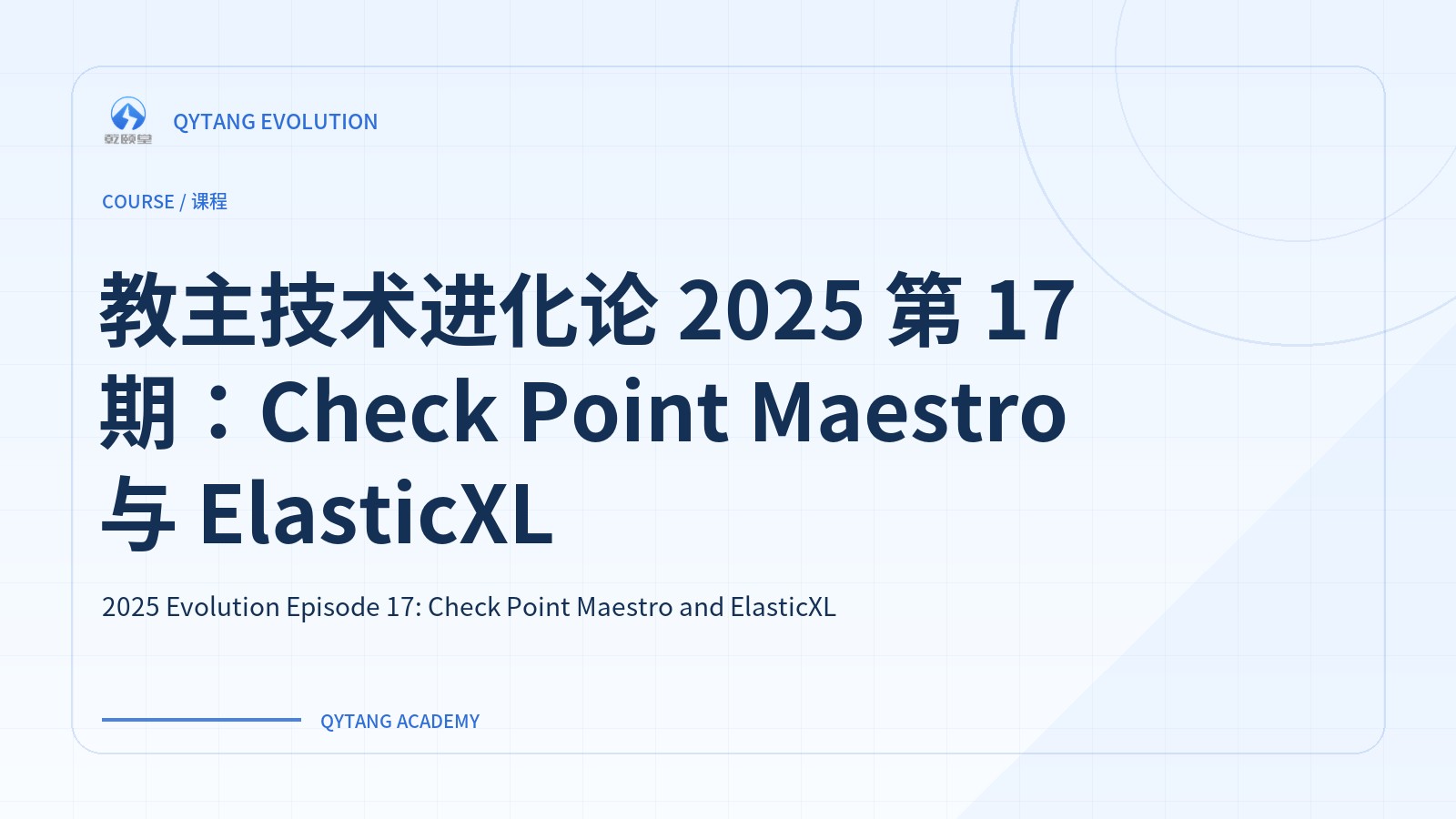 教主技术进化论 2025 第 17 期：Check Point Maestro 与 ElasticXL